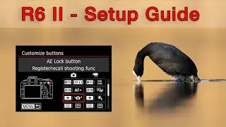 How to Set Up the Canon R6 II for Wildlife Photography (Tutorial)