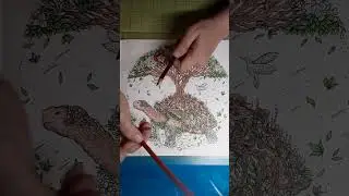 Finishing up a bit of things on the tortoise page in Circle of Life with Crayola pencils.