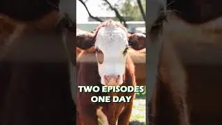 TWO EPISODES. ONE DAY. 