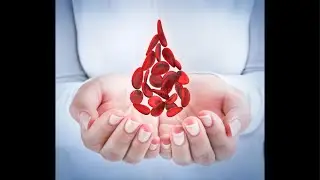 Лилия Исмаилова в прямом эфире!