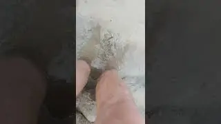 Тени меня как репку