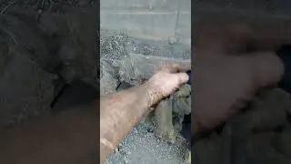 24 мая 2023 г.