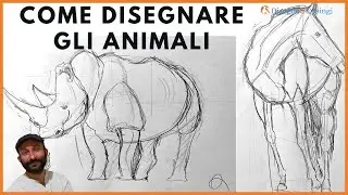 Come disegnare gli animali