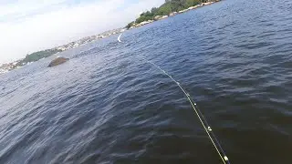Pescaria de Fly Fishing na Baía de Guanabara - RJ