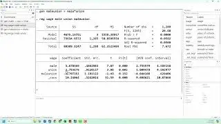 Stata Basics: Interaction Terms in Regressions