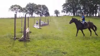 Competing and Training {May/Early June}