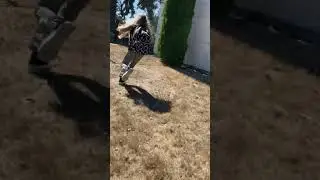 RABBIT RABBIT RABBIT 2 #funny #chasing