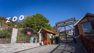 Nainital Zoo #Nainital #high altitude zoo. Nainital tour