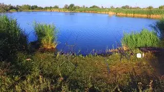 Проект 