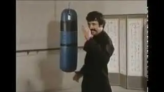 Furious (1984) - Kung fu master shoots chickens out of his fingertips