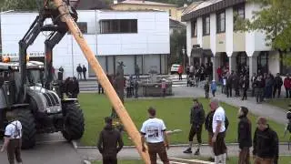 Reichenau 2012 - Maibaumaufstellen durch die Maibaumdiebe.