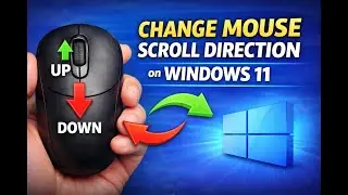 How to Change Mouse Scroll Direction on Windows 11 | GearUpWindows Tutorial