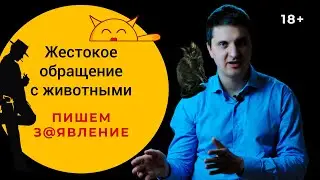 Пишем Заявление о Жестоком Обращении с Животными