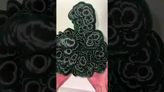 🫧 Bubbly Velvet Malachite 🫧