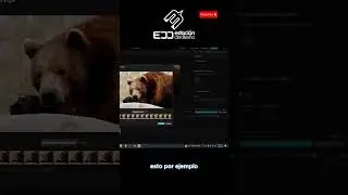 Colorización Automatica en CapCut Pro #shorts