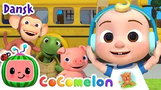Bussens hjul | CoComelon Dansk | Moonbug Børn Dansk - Sange og tegnefilm for børn