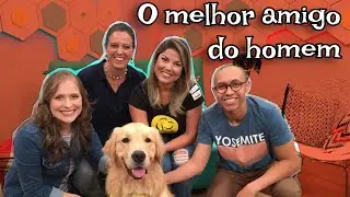 O melhor amigo do homem - Final