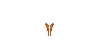 Butterfly logo Lottie JSON animation by graphicsgenisys