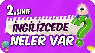 2. Sınıf İngilizcede Neler Var? İngilizce Dersine Nasıl Çalışır❓