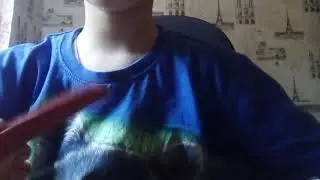 Лепкв вредди