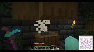 Minecraft Saga 2 #1191