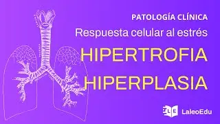 Patología clínica: hipertrofia e hiperplasia