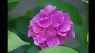 Анна Вышеславцева - стихи о стихах