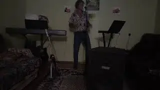 Напиши мне письмо (гр Синяя птица гр Весёлые ребята кавер) Макс Аргасцев