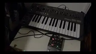 Roland SH-101 & Boss RV-200 Reverb