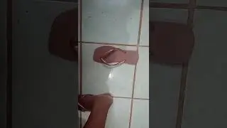 TAG 221/ Que número eu calço