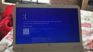 Dua Lipa has BSOD!