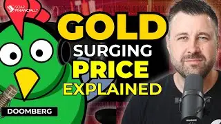 BRICS Meeting 2024 - A Game Changer for GOLD? | Doomberg