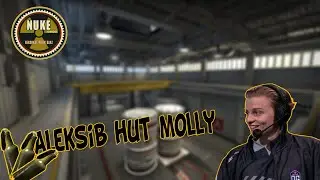 Aleksib molly on Nuke