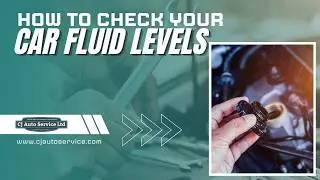 How to check car fluid levels