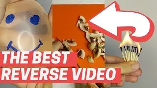 THE BEST REVERS VIDEO Funny Ball | Regenerating Mushrooms | Burning Matches