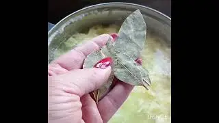 #рек #рыба #уха #рекомендации #рыбалка #видео #лайк #комментарии