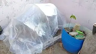 how to save/watering your plants in summer?
