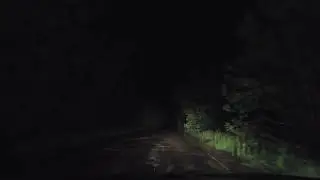 Бесовский Лес, июнь 2020