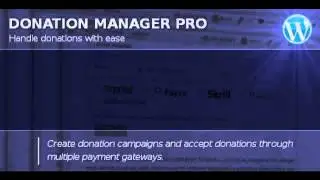 Preview Donation Manager Pro WordPress