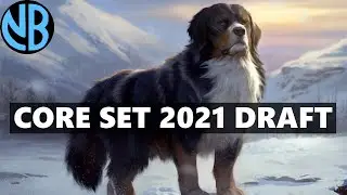 CORE SET 2021 DRAFT!!! ALL THE DOGS, ALL THE WINS!!!