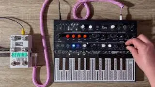 Alexander Pedals - Rewind Programmable Echo (Synth Demo)