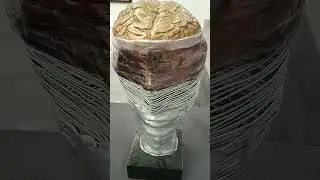 arts! 