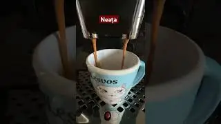 Good morning!🤙