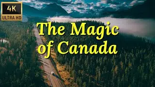 Musica de Piano Relaxante para Acalmar a Mente | Vídeos do Canadá em 4K ULTRA HD