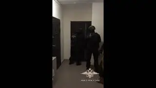 В Подмосковье полицейские пресекли криминальный бизнес, связанный с обманом автовладельцев