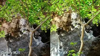 Samsung Galaxy M20 Vs Honor 8X Camera Test Comparison