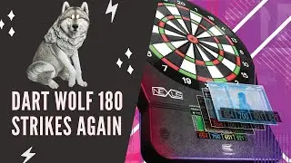 DART WOLF 180 GENEROSITY CONTINUES  .... SURPRISE TARGET NEXUS GIVEAWAY