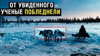 СИБИРЬ! ОТ УВИДЕННОГО УЧЕНЫЕ ПОБЛЕДНЕЛИ!