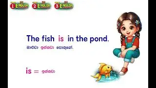 Grade 1 , 2 , 3 English Lesson