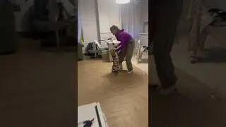 Боюсь свою дикую кошку🙀 часто пишут такие комменты, неужели всерьёз кто-то думает, что я ее боюсь?